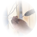 Electrical Solution